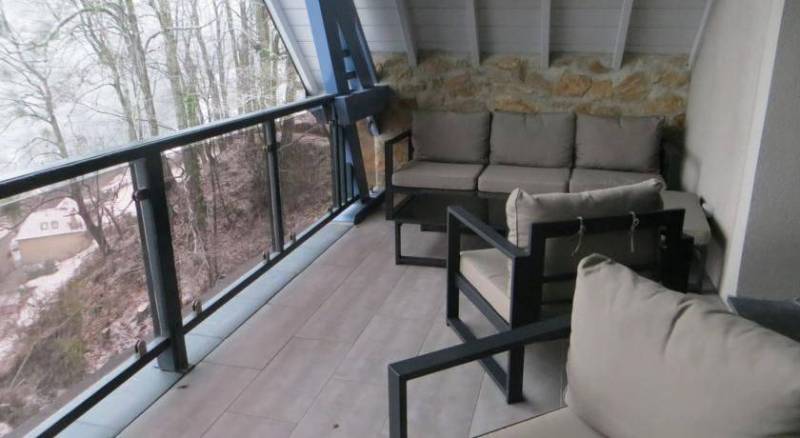 chalet pour curistes à luz saint sauveur