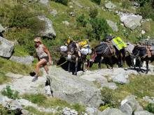 Nos prestations sur le secteur de près de La Mongie 65200