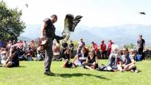 Spectacle de rapaces Beaucens Le Donjon des Aigles